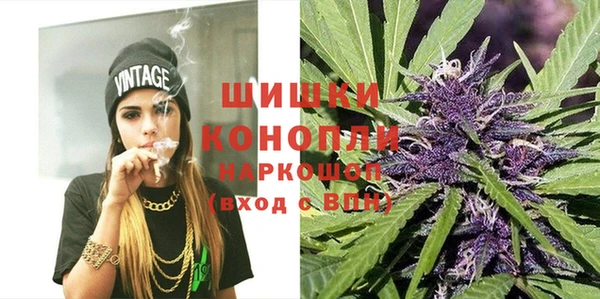 крисы Ессентукская