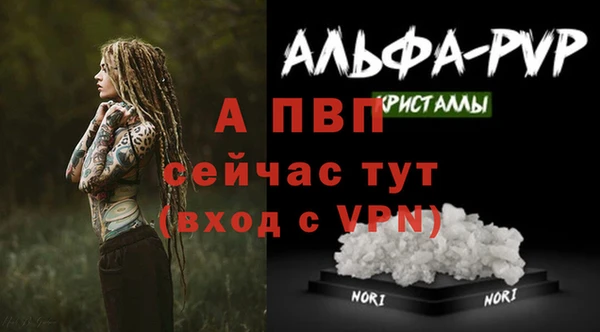 ешки Калининец