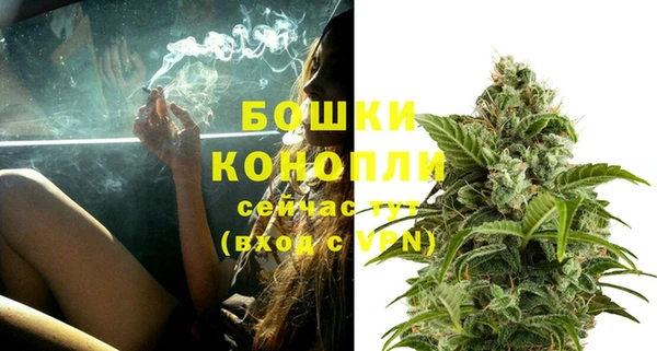 крисы Ессентукская