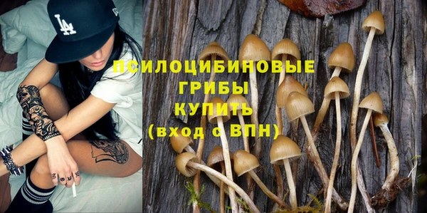 ешки Калининец