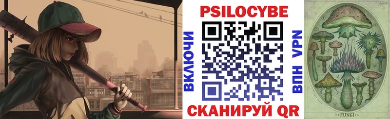 omg ТОР  Ильский  Псилоцибиновые грибы Psilocybine cubensis 